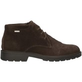 IgI CO  Turnschuhe 6102666 Knöchel Harren KAFFEE
