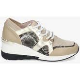 Stephen Allen  Sneaker 2077-C1