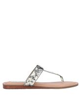 STEVE MADDEN Zehentrenner