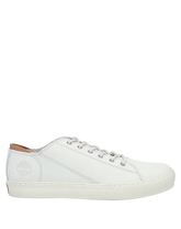 TIMBERLAND Low Sneakers & Tennisschuhe