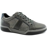 IgI CO  Sneaker IGI-I19-4131700-GR