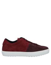 TOD'S Low Sneakers & Tennisschuhe