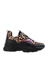 STEVE MADDEN Low Sneakers & Tennisschuhe