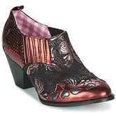 Irregular Choice  Ankle Boots BARBAROSA