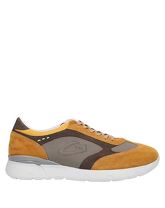 ALBERTO GUARDIANI Low Sneakers & Tennisschuhe