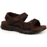 American Club  Sandalen AM698B