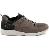 Grunland  Sneaker SC2687