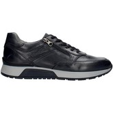 NeroGiardini  Sneaker NGUAI21-001723-blu