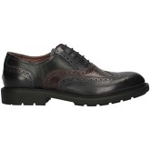 NeroGiardini  Herrenschuhe 01661U geschnürtes Harren BLAUER KAFFEE SCHWARZ