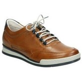 Fluchos  Herrenschuhe ZAPATOS  F0146 CABALLERO CUERO