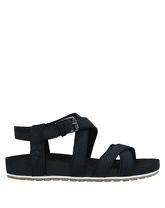 TIMBERLAND Sandalen