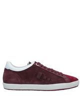 D’ACQUASPARTA Low Sneakers & Tennisschuhe