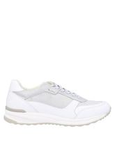 GEOX Low Sneakers & Tennisschuhe