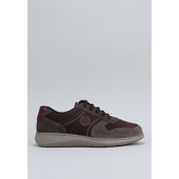 Notton  Sneaker 77