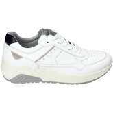 IgI CO  Sneaker 3129211