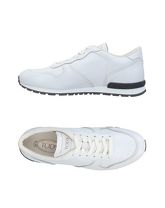 TOD'S Low Sneakers & Tennisschuhe