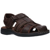 Paredes  Sandalen VP19230 CA Hombre Marron