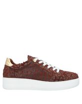 ROBERTO BOTTICELLI Low Sneakers & Tennisschuhe