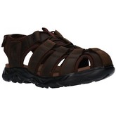 Paredes  Sandalen VP20323 Hombre Marron