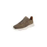 LLOYD Schnürhalbschuhe Schnürschuhe beige Herren