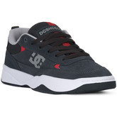 DC Shoes  Sneaker PAENZA