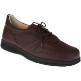 Natural Feet  Herrenschuhe Schnürer Karsten XL Farbe: braun