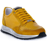 Exton  Sneaker ANTICATO OCRA