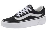 Vans Sneaker Shape NI