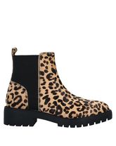 STEVE MADDEN Stiefeletten