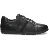 Badura  Sneaker William