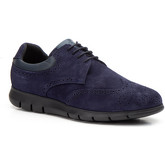 Diluis  Herrenschuhe 57791