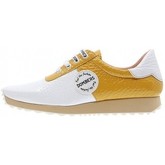 Dombers  Sneaker TALENT ZAPATO D22008