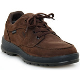 Lomer  Sneaker OXFORD MTX ESPRESSO