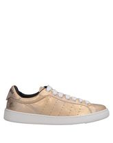 DSQUARED2 Low Sneakers & Tennisschuhe