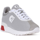 Rucoline  Sneaker 1310 GRIGIO