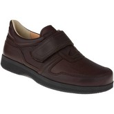 Natural Feet  Herrenschuhe Kletter Korbin XL Farbe: braun