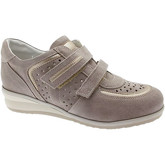 Calzaturificio Loren  Sneaker LOC3659ta