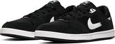 Nike SB Sneaker Alleyoop Skate