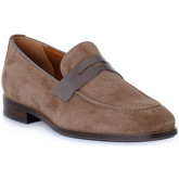 Frau  Herrenschuhe HIVE NAPPA TORTORA