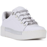 Café Noir  Sneaker CAFE NOIR  SNEAKER ALLACCIATA