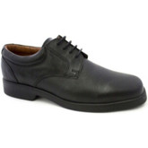 Danka  Herrenschuhe Waiter Schnürsenkel  schwarz