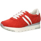 Apex Footwear  Sneaker WS309R02