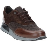 Exton  Sneaker 161
