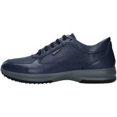 IgI CO  Sneaker 7119011