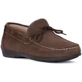 IgI CO  Herrenschuhe SCAMOSCIATO TORTORA