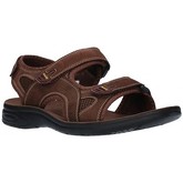 Paredes  Sandalen VP18142 MA Hombre Marron