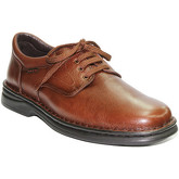Tolino  Herrenschuhe   Sehr beständig Schnürsenkel  bra