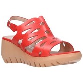 Wonders  Sandalen D-9003 perfumera rojo Mujer Rojo