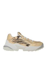 SERGIO ROSSI Low Sneakers & Tennisschuhe