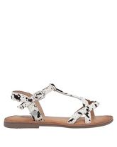 GIOSEPPO Sandalen